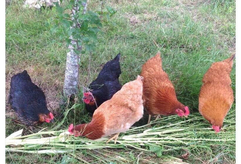 ベッドアンドブレックファースト A L Ombre Du Tilleul