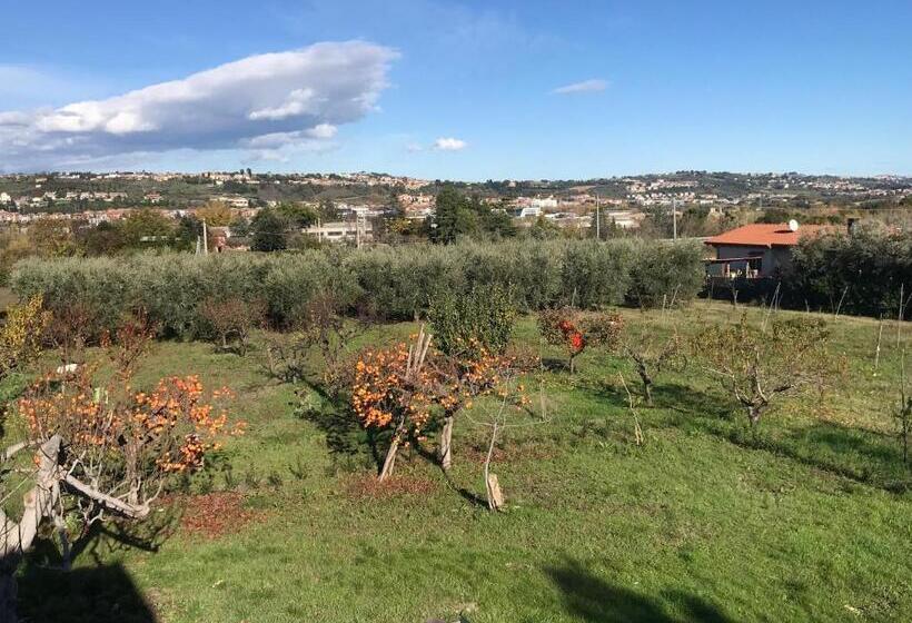 Bed and Breakfast Alvearedirita