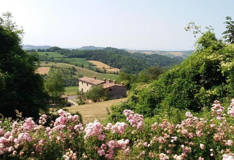 مبيت وإفطار Ca Növa