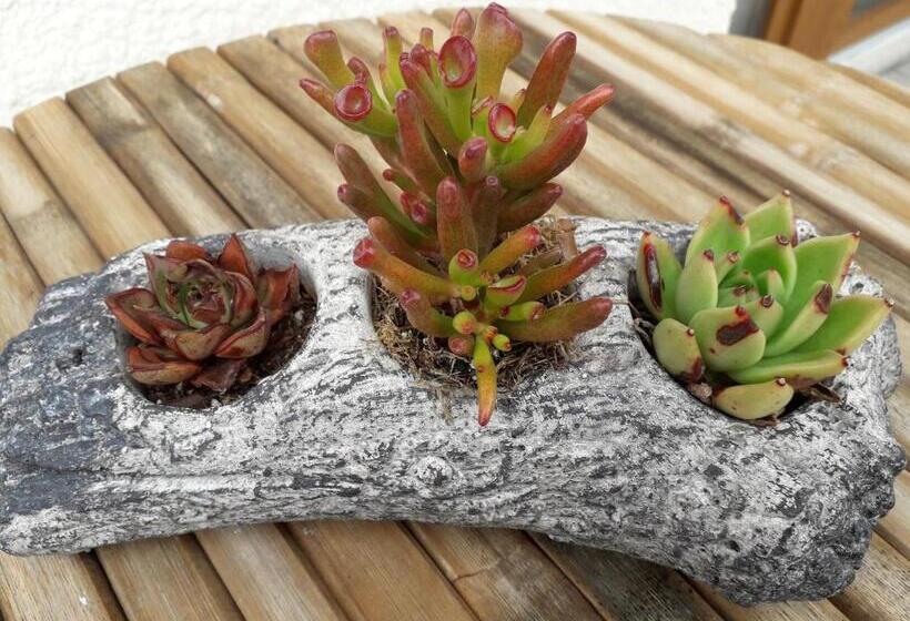 민박 Chambres D Hôtes Le Chalet