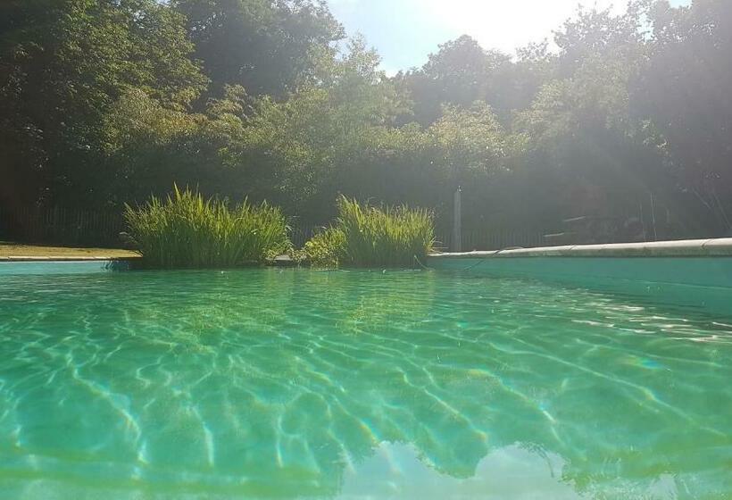 住宿加早餐  Chateau Igny