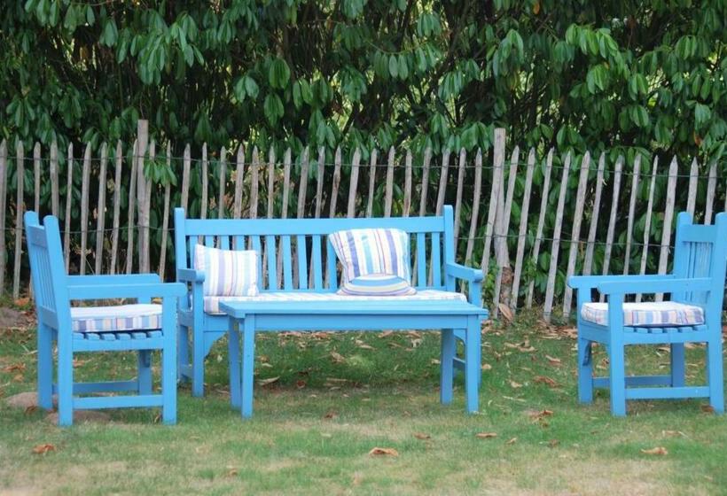 住宿加早餐  Chateau Igny