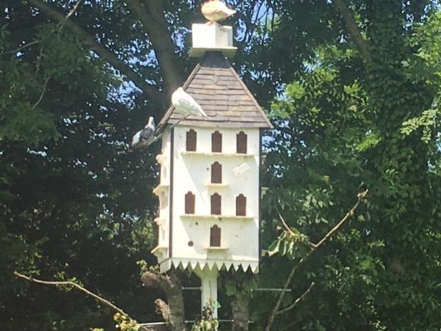 Bed and Breakfast Chez Thomas 7 Route Du Monde Ancien