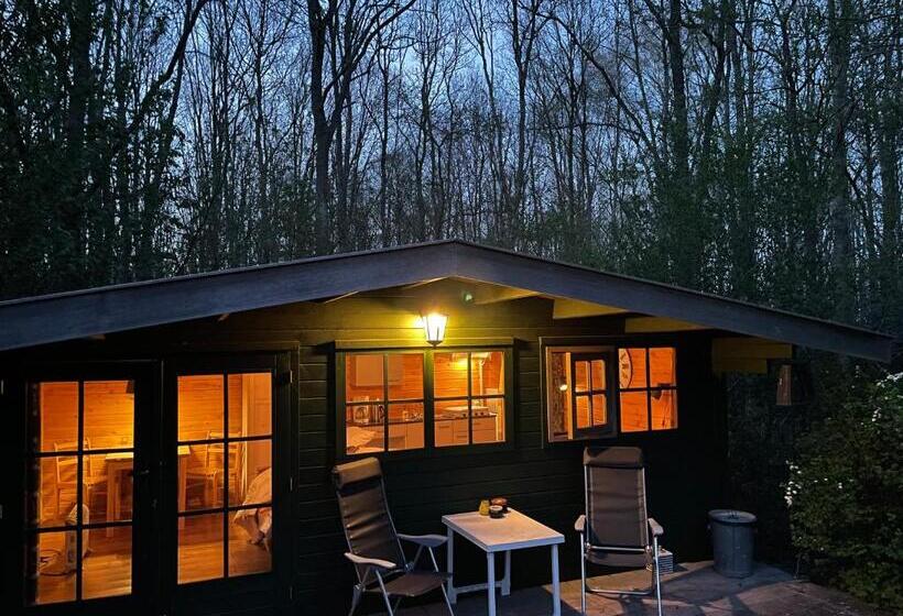 Bed and Breakfast D Alde Pastorije