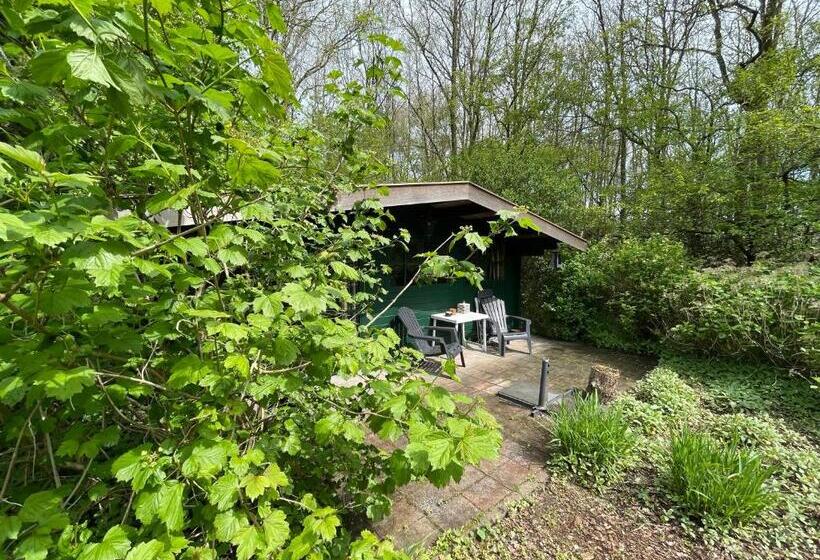 Bed and Breakfast D Alde Pastorije