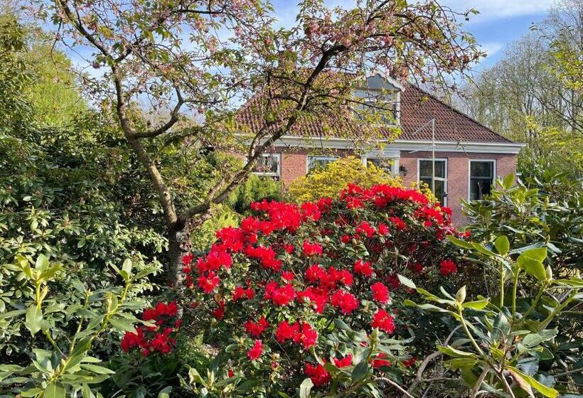 Bed and Breakfast D Alde Pastorije