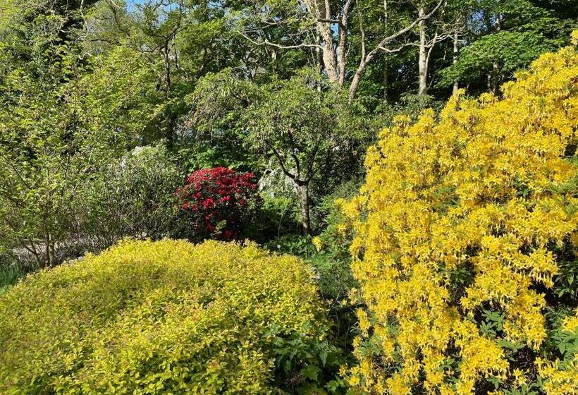 Bed and Breakfast D Alde Pastorije