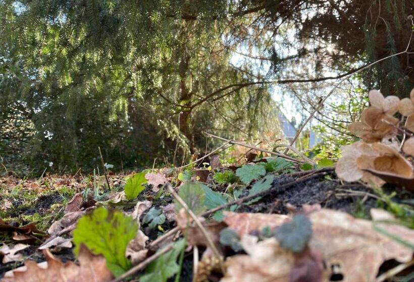 مبيت وإفطار D Alde Pastorije