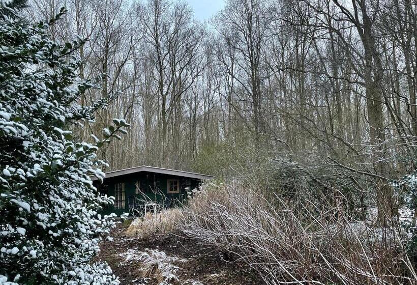 Bed and Breakfast D Alde Pastorije