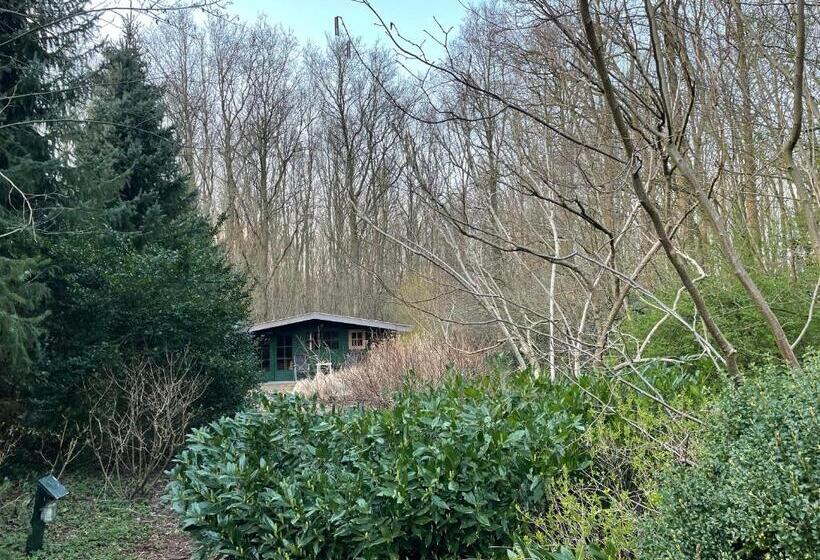 Bed and Breakfast D Alde Pastorije