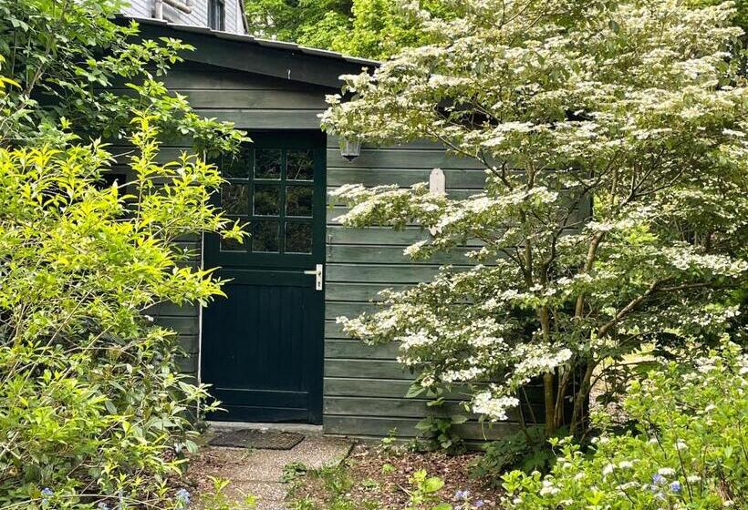 Bed and Breakfast D Alde Pastorije