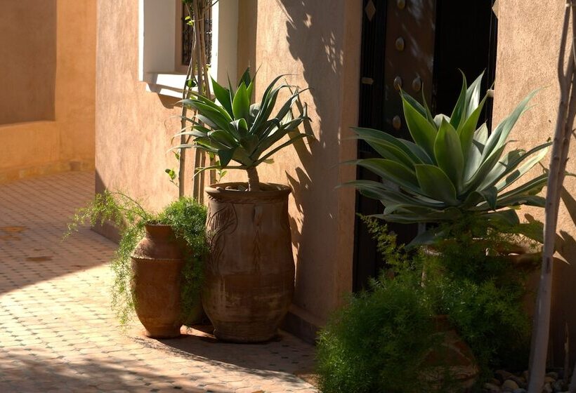 住宿加早餐 Dar Ajgal