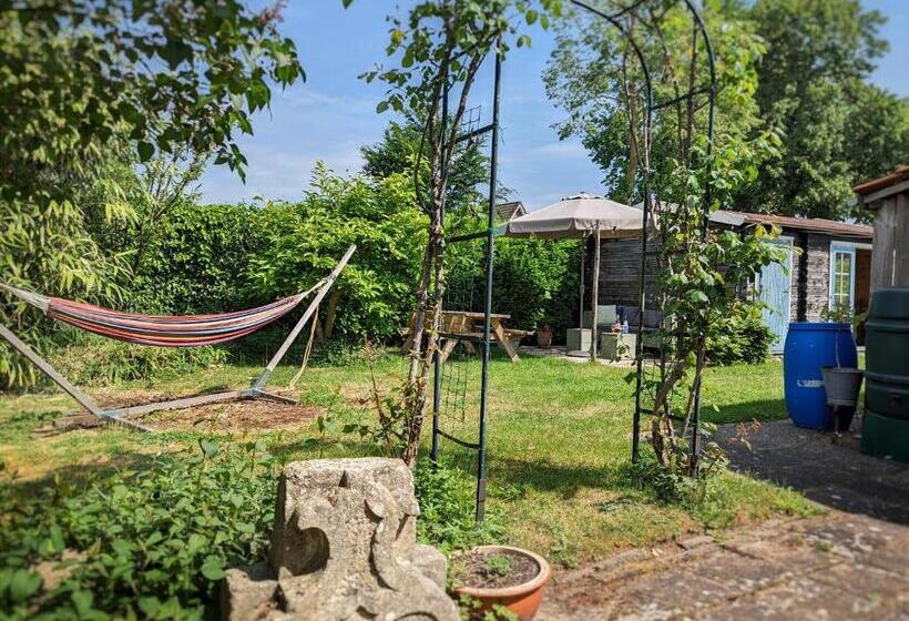 Bed and Breakfast De Slaapmus