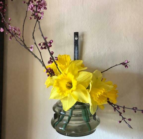 צימר Dealettante