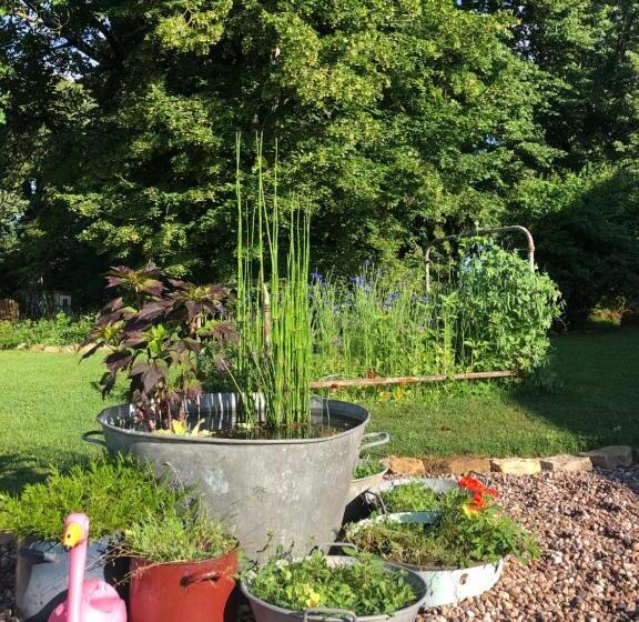 צימר Dealettante