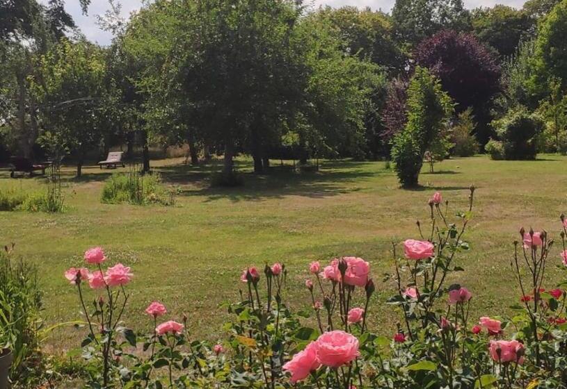 צימר Dealettante