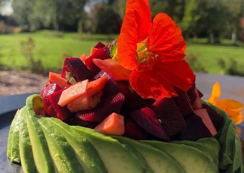 צימר Dealettante