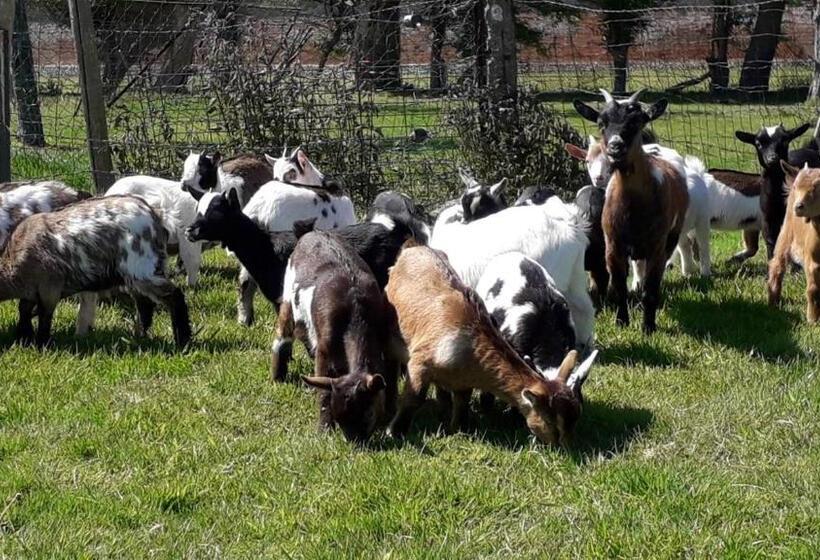 민박 Domaine De Pimont