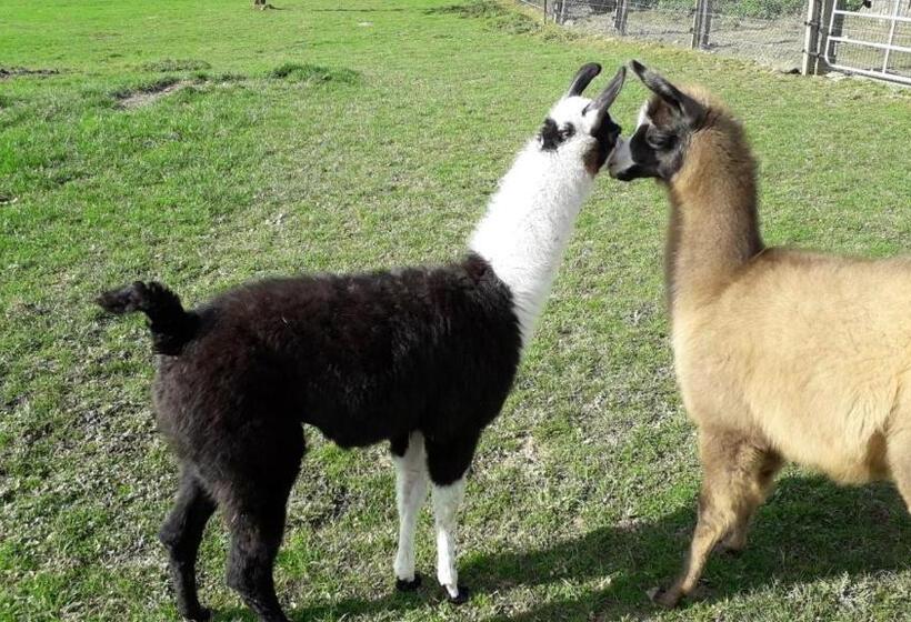 민박 Domaine De Pimont