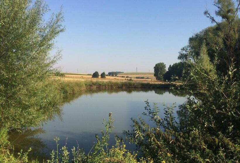 مبيت وإفطار Double Room On Farm