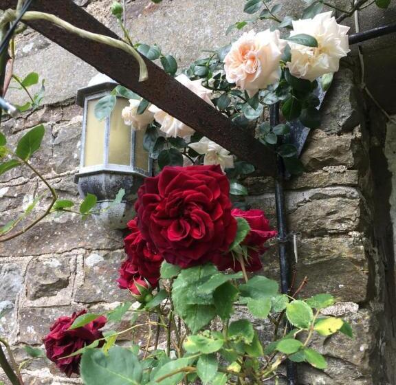 ベッドアンドブレックファースト Higher Biddacott Farm