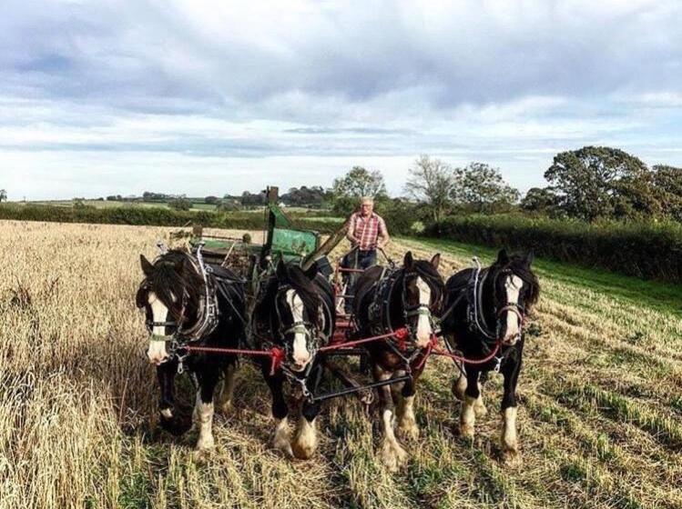 ベッドアンドブレックファースト Higher Biddacott Farm