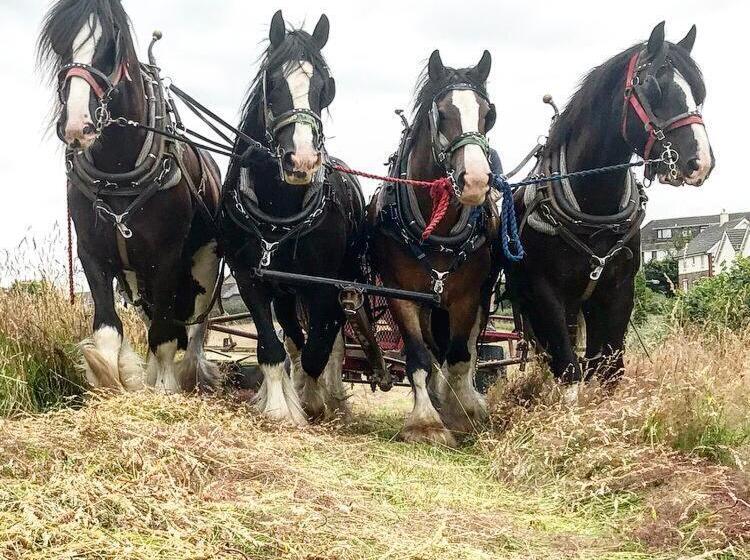 ベッドアンドブレックファースト Higher Biddacott Farm