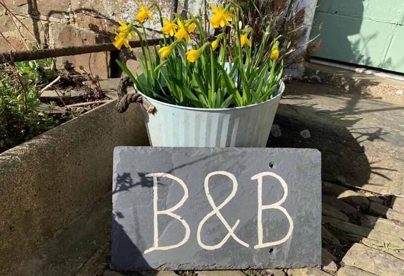 ベッドアンドブレックファースト Higher Biddacott Farm