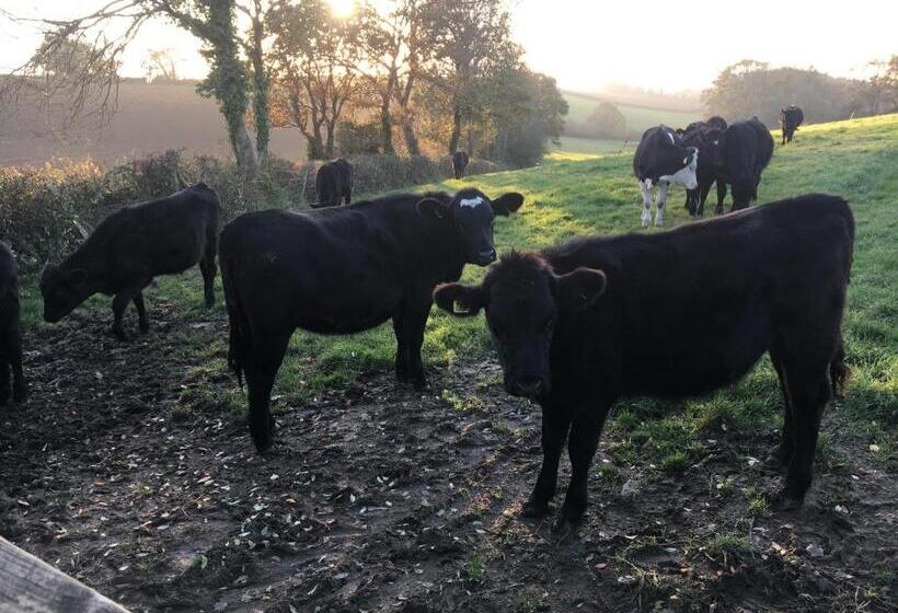 ベッドアンドブレックファースト Higher Biddacott Farm