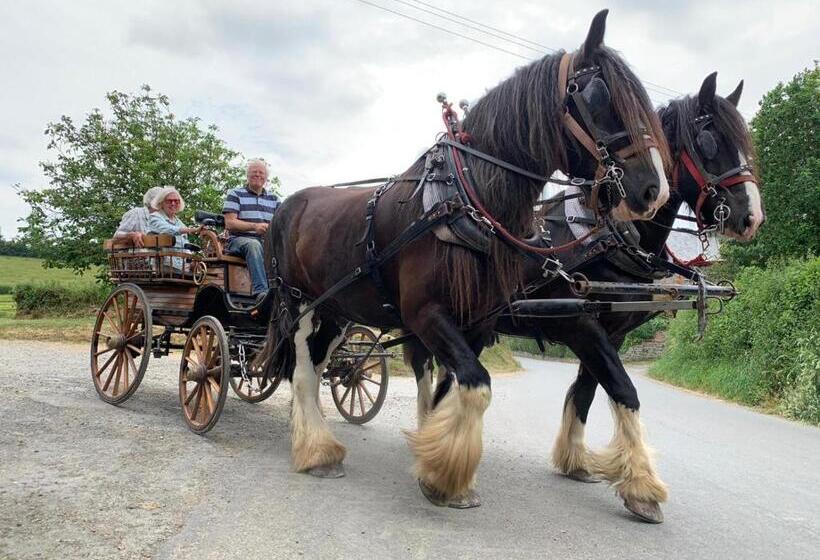 ベッドアンドブレックファースト Higher Biddacott Farm