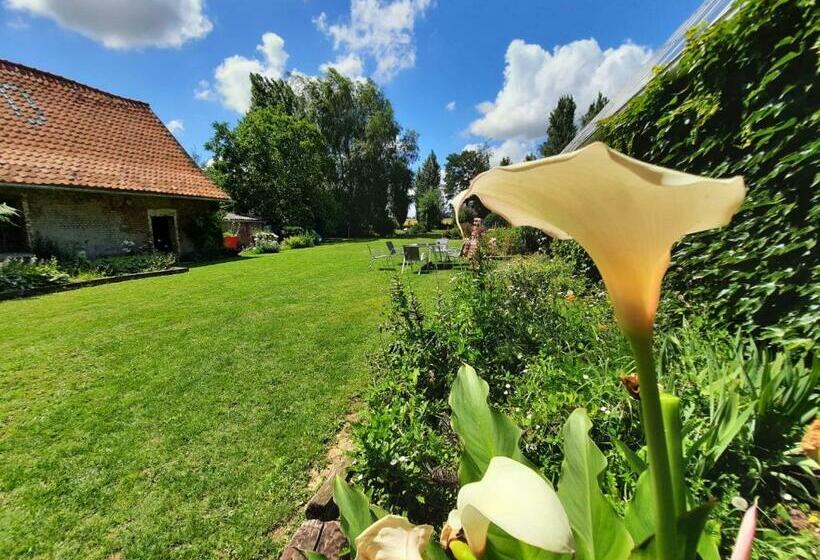 Bed and Breakfast La Flandre Entre Plaine, Mer Et Marais