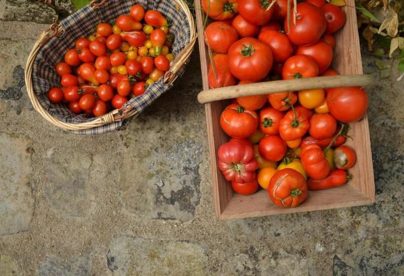 مبيت وإفطار Le Clos Du Ru