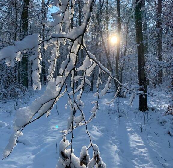 Bed and Breakfast Le Nid De Cigognes