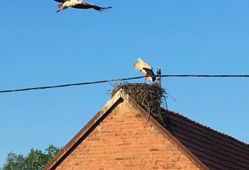 Bed and Breakfast Le Nid De Cigognes