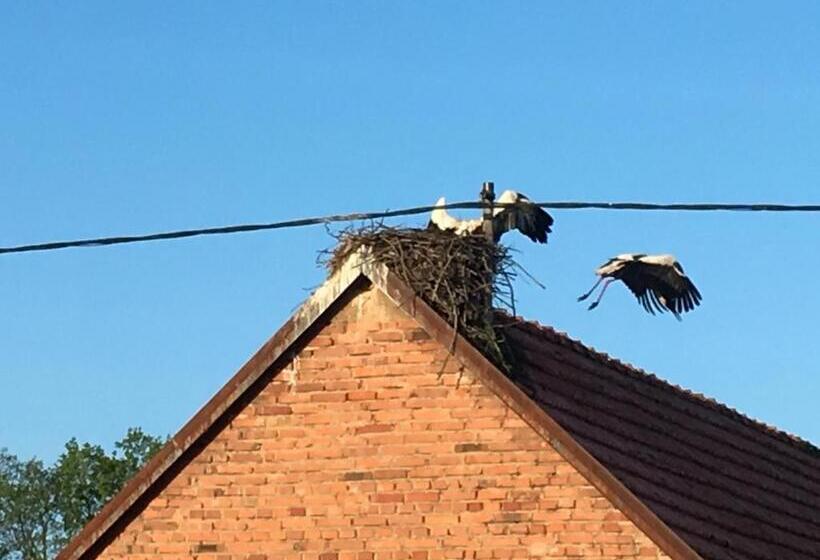 Bed and Breakfast Le Nid De Cigognes
