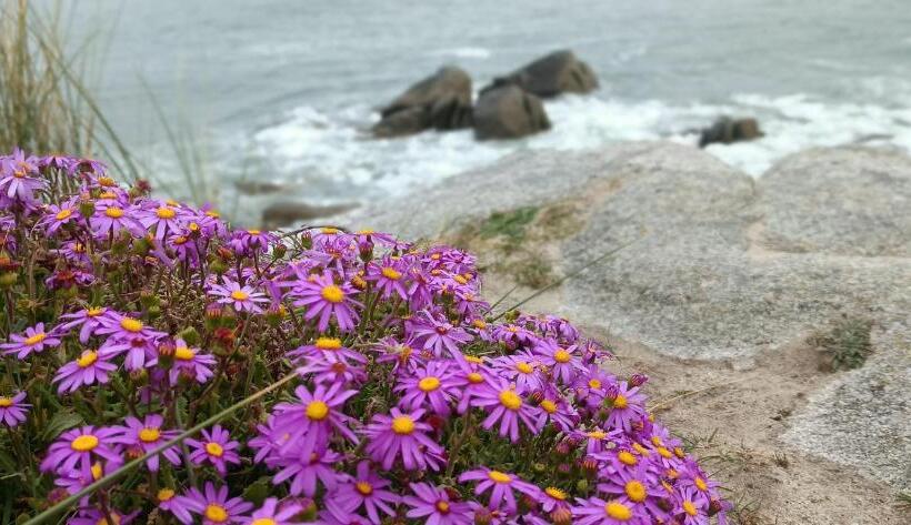 住宿加早餐  Les Chambres De Kerchelgen