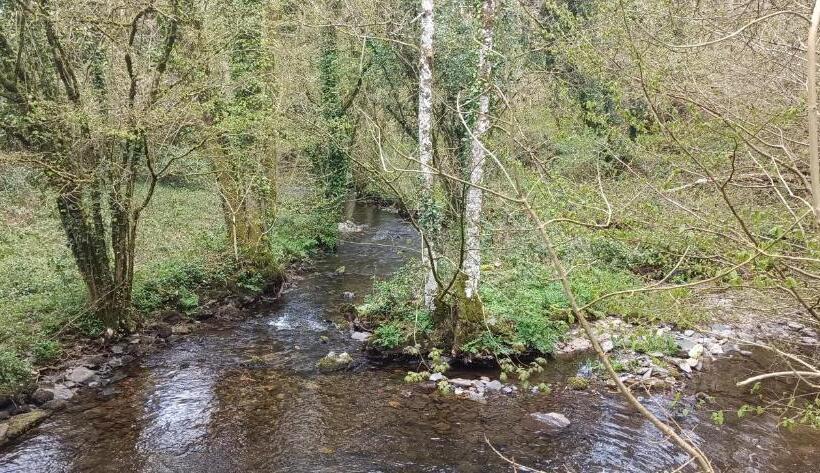 住宿加早餐  Les Chambres De Kerchelgen