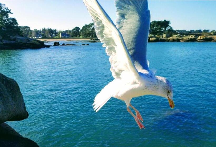 住宿加早餐  Les Chambres De Kerchelgen