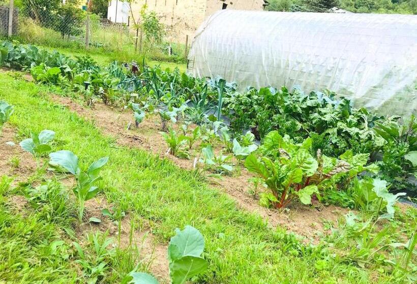 צימר Lotus Oasis I Natural Food & Room Experience