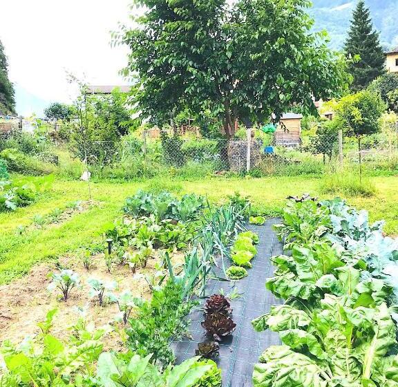 צימר Lotus Oasis I Natural Food & Room Experience