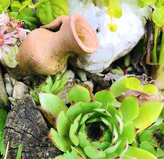 민박 Lotus Oasis I Natural Food & Room Experience