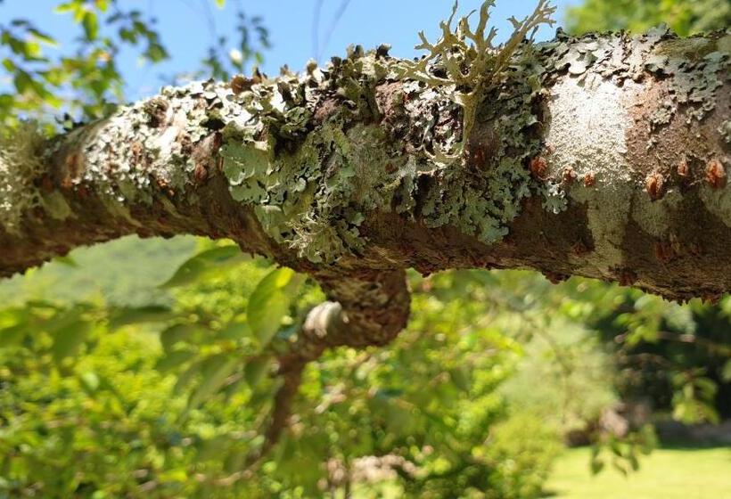 민박 Maison Bélénos