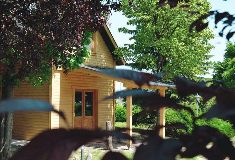 مبيت وإفطار Matkó Airport és élményközpont