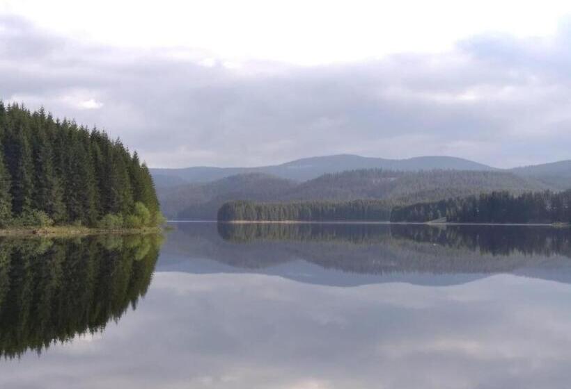 住宿加早餐  Pensiunea Iulia