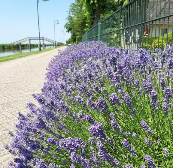 צימר T Waarkhoes