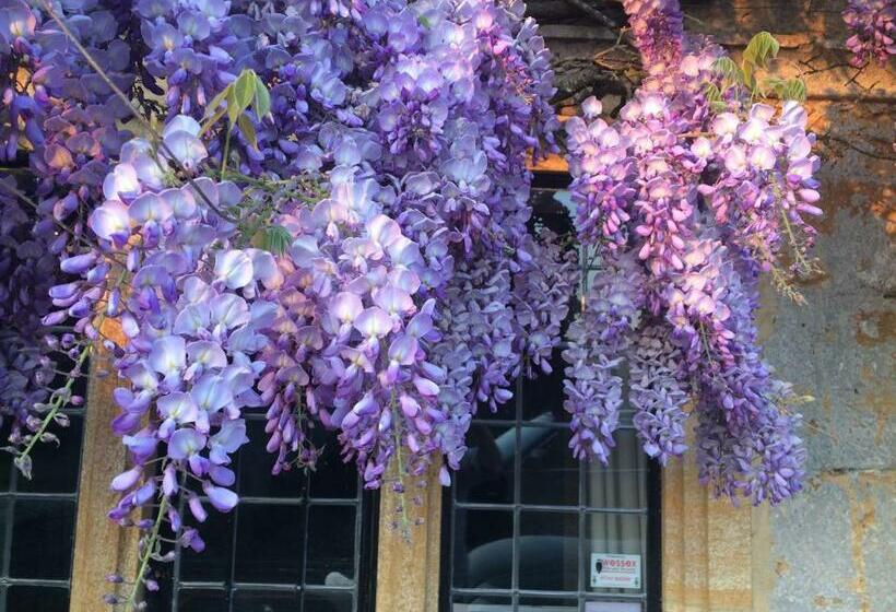 住宿加早餐  The Grange