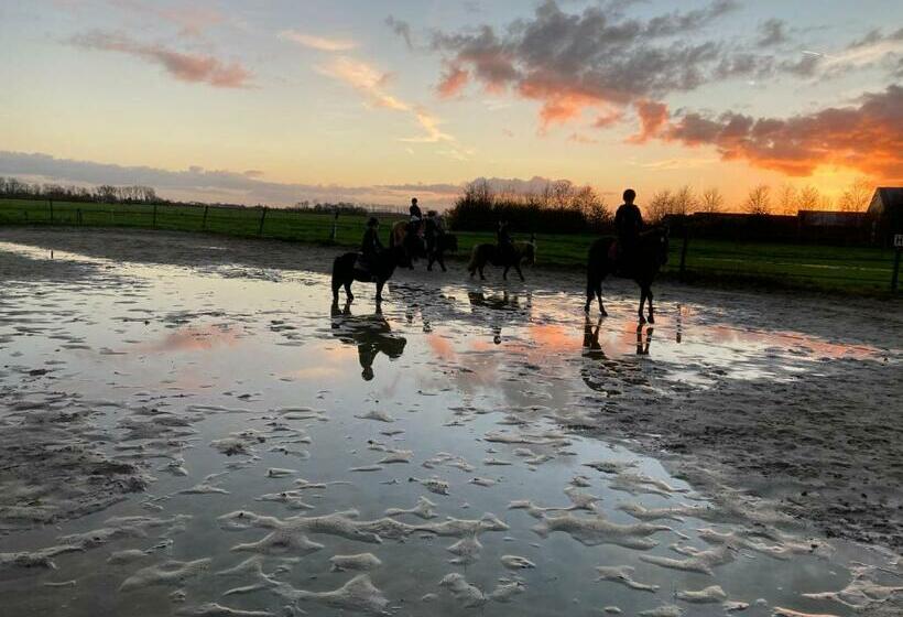 민박 The Horse Farm