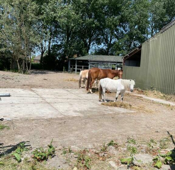 민박 The Horse Farm