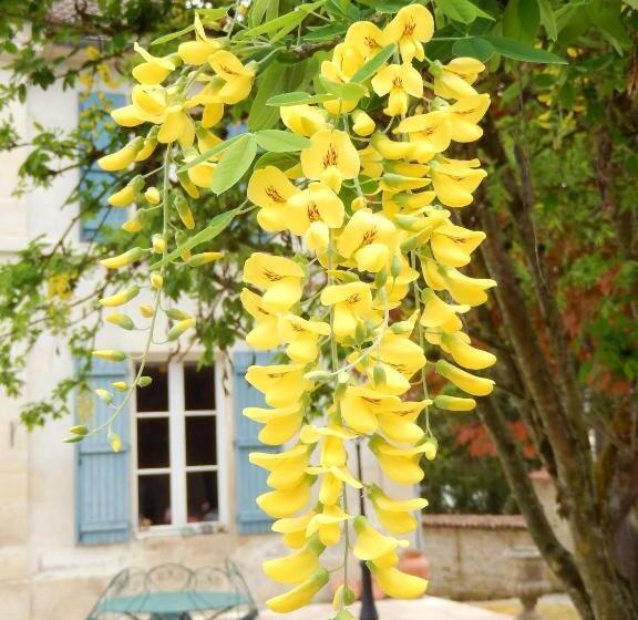 مبيت وإفطار Une Parenthèse En Champagne