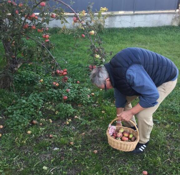 مبيت وإفطار Villa Dolne Saliby